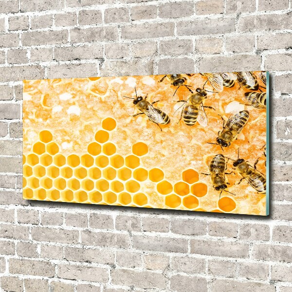Foto auf Acryl Arbeitsbienen