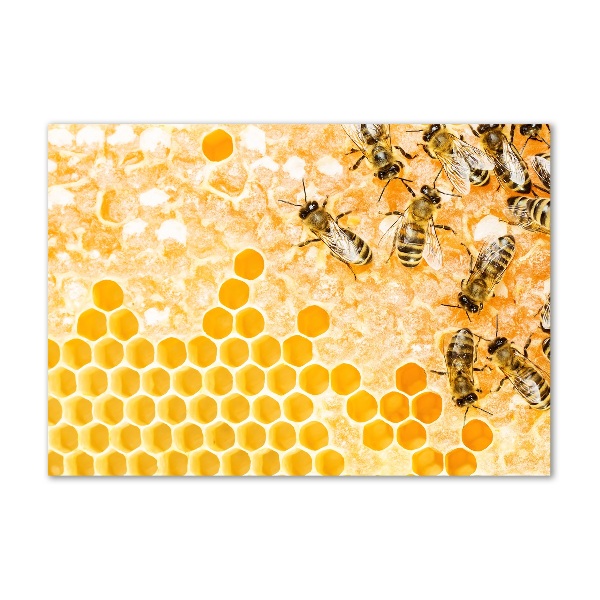 Foto auf Acryl Arbeitsbienen