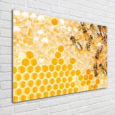 Foto auf Acryl Arbeitsbienen