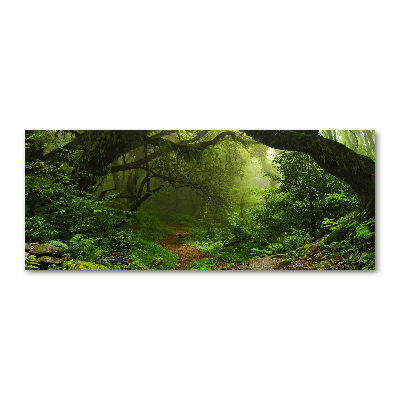 Foto auf Acryl Dschungel in Nepal