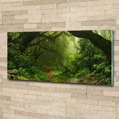 Foto auf Acryl Dschungel in Nepal