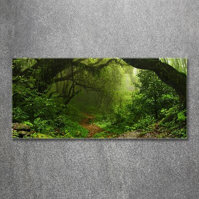 Foto auf Acryl Dschungel in Nepal