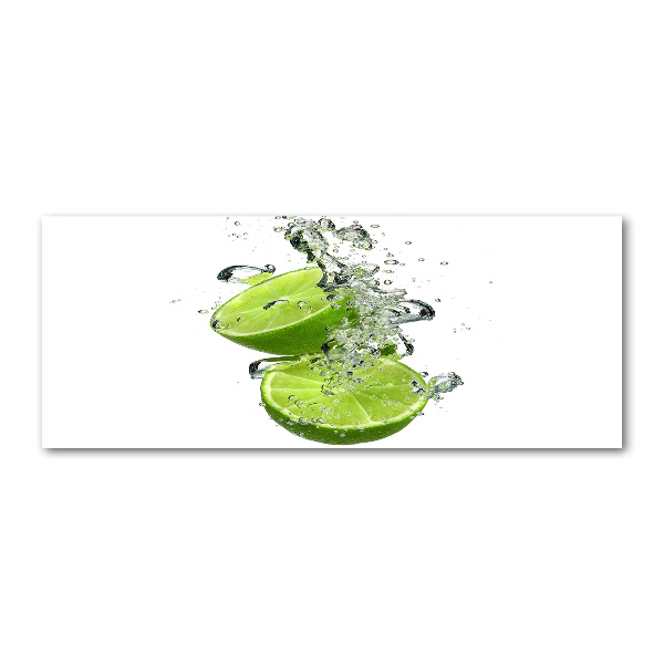 Acrylbild Fotodruck Kalk unter Wasser