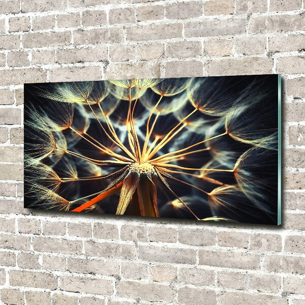 Acrylbild Fotodruck Löwenzahn