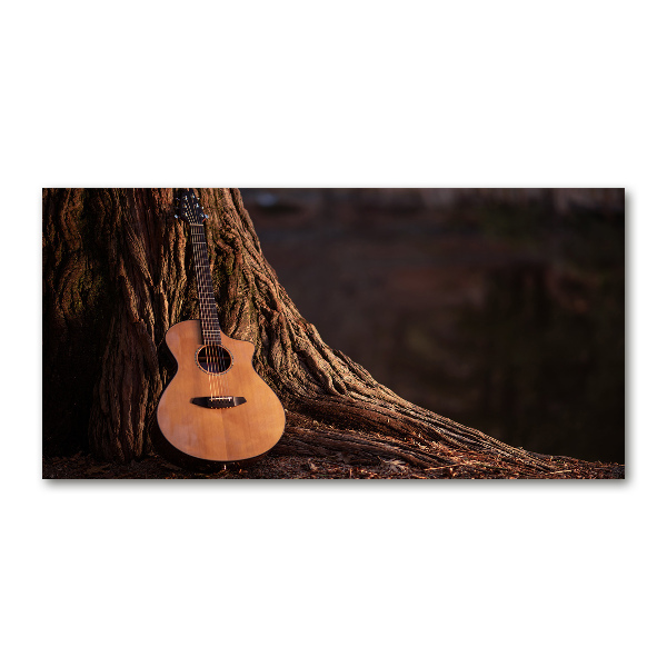 Foto auf Acryl Akustikgitarre