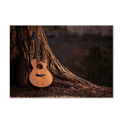 Foto auf Acryl Akustikgitarre