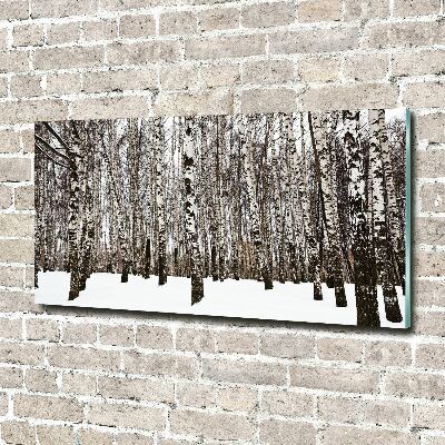 Acrylbild Fotodruck Birken im Winter