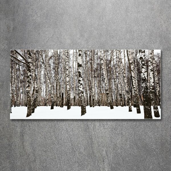 Acrylbild Fotodruck Birken im Winter