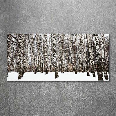 Acrylbild Fotodruck Birken im Winter