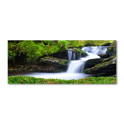 Foto auf Acryl Wasserfall im Wald