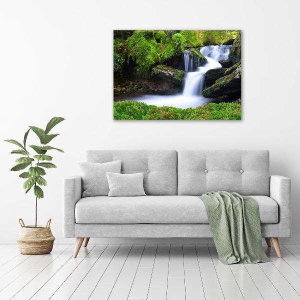 Foto auf Acryl Wasserfall im Wald