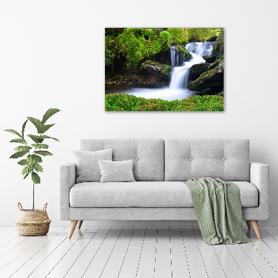 Foto auf Acryl Wasserfall im Wald
