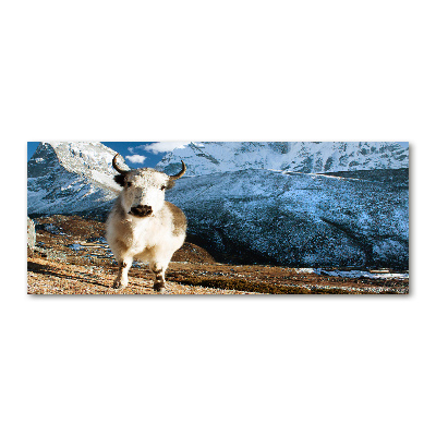 Foto auf Acryl Wie Berge