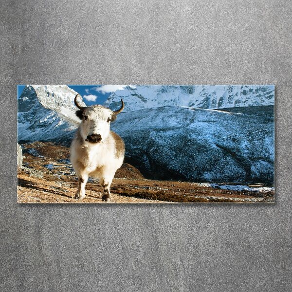 Foto auf Acryl Wie Berge