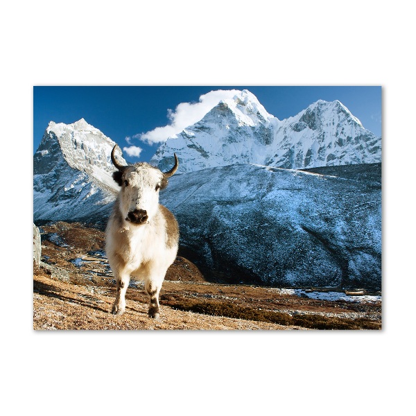 Foto auf Acryl Wie Berge