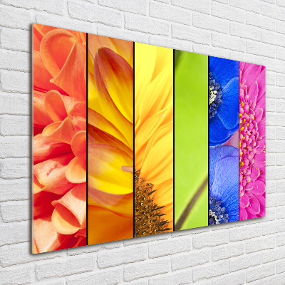 Bild auf Acrylglas Bunte Blumen