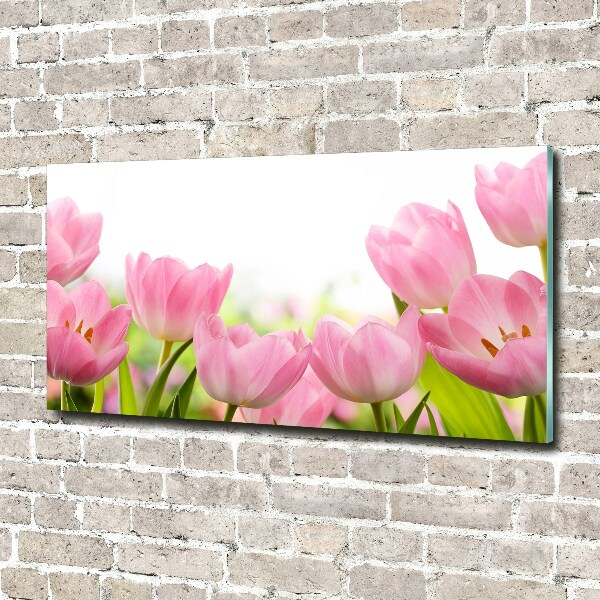 Acrylbild Fotodruck Rosa Tulpen