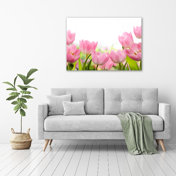 Acrylbild Fotodruck Rosa Tulpen