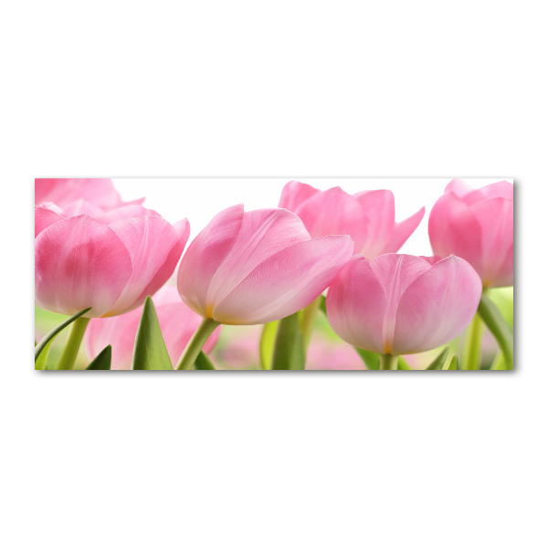 Acrylglas-Druck Rosa Tulpen