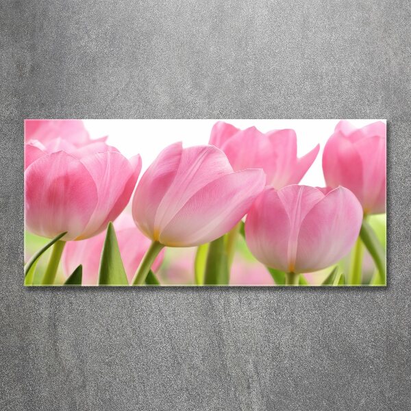 Acrylglas-Druck Rosa Tulpen