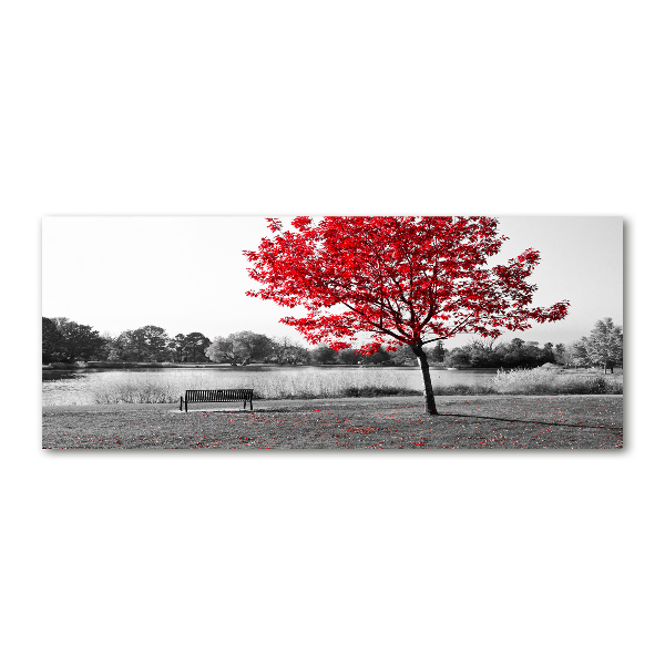 Acrylbild Fotodruck Roter Baum