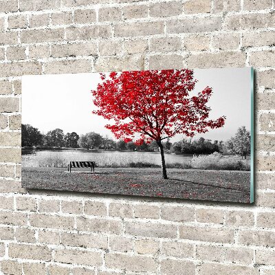 Acrylbild Fotodruck Roter Baum