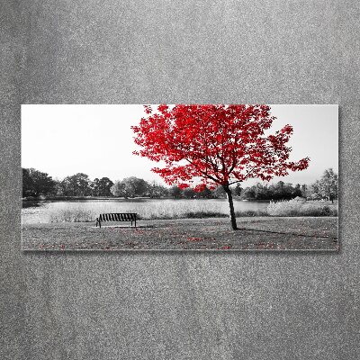 Acrylbild Fotodruck Roter Baum