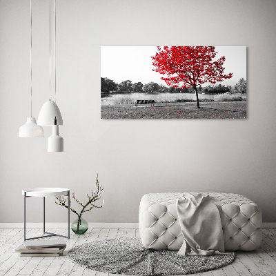 Acrylbild Fotodruck Roter Baum