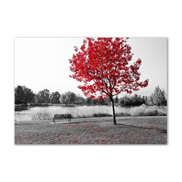 Acrylbild Fotodruck Roter Baum