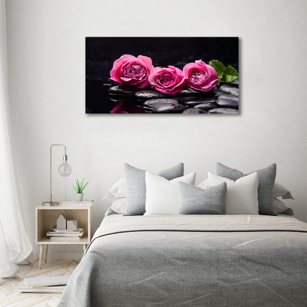 Bild auf Acrylglas Rosa Rosen