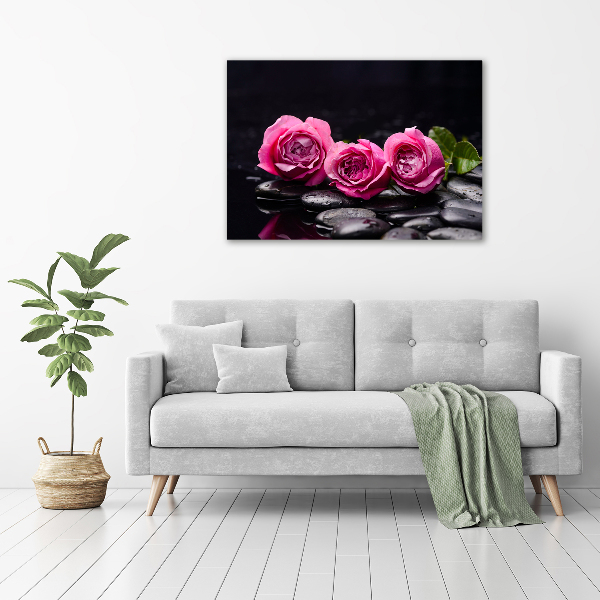 Bild auf Acrylglas Rosa Rosen