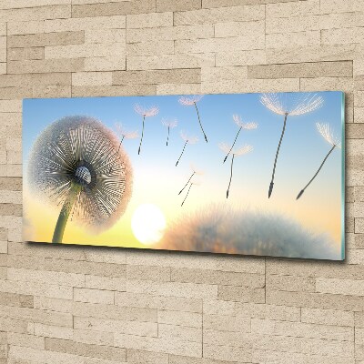 Acrylglas-Druck Löwenzahn