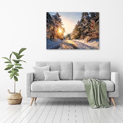 Bild auf Acrylglas Eine Straße im Wald im Winter