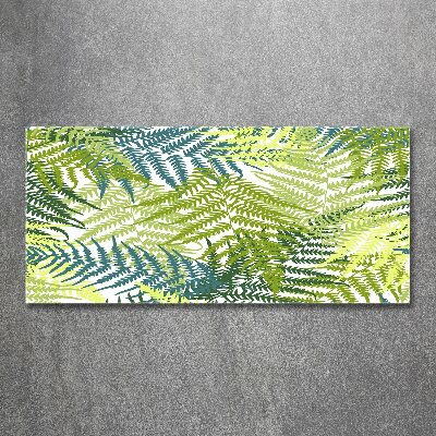 Foto auf Acryl Farnmuster