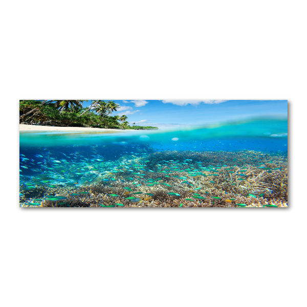 Foto auf Acryl Korallenriff