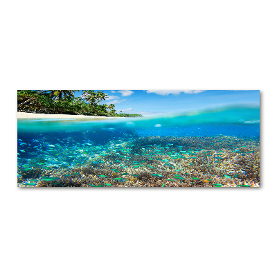 Foto auf Acryl Korallenriff