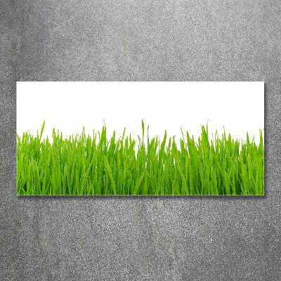 Foto auf Acryl Gras