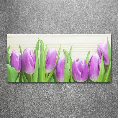 Bild auf Acrylglas Lila Tulpen