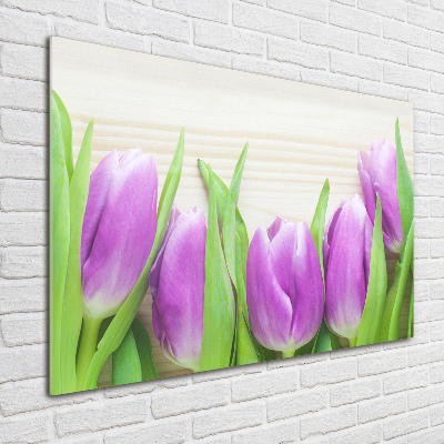 Bild auf Acrylglas Lila Tulpen
