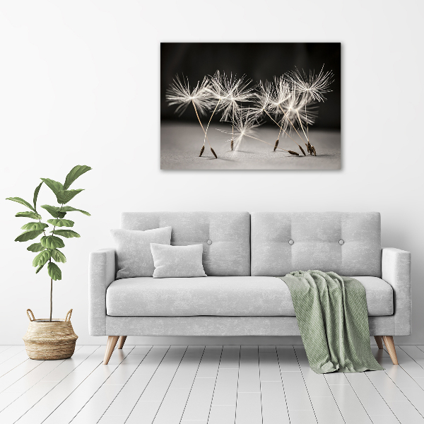 Foto auf Acryl Löwenzahnsamen