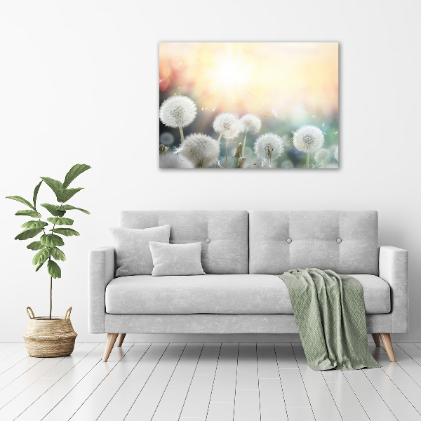 Acrylglas-Druck Löwenzahnfeld