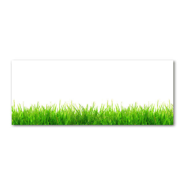 Foto auf Acryl Gras