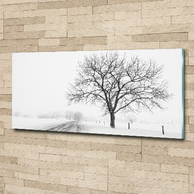 Acrylbild Fotodruck Baum im Winter