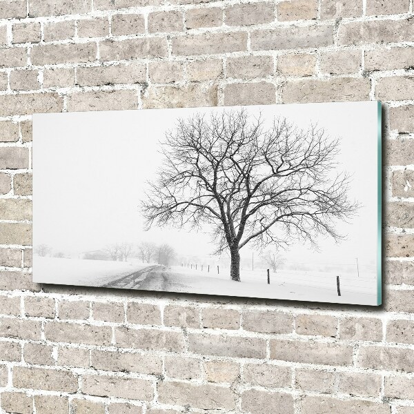 Acrylbild Fotodruck Baum im Winter