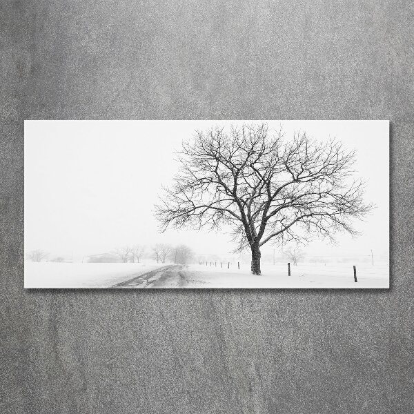 Acrylbild Fotodruck Baum im Winter