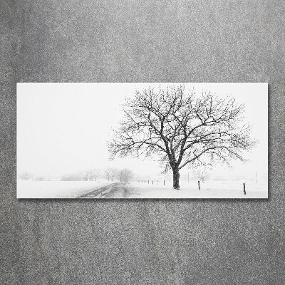 Acrylbild Fotodruck Baum im Winter