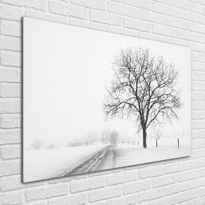 Acrylbild Fotodruck Baum im Winter