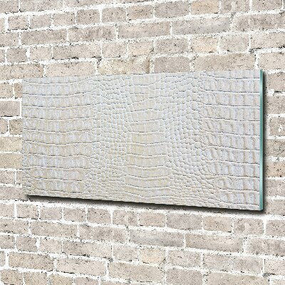 Bild auf Acrylglas Krokodilhaut