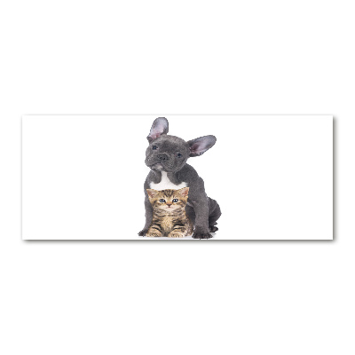 Bild auf Acrylglas Hund und Katze