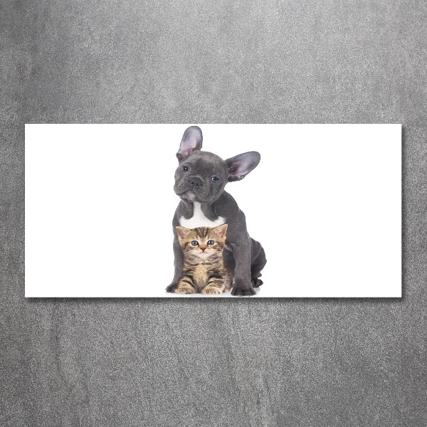 Bild auf Acrylglas Hund und Katze